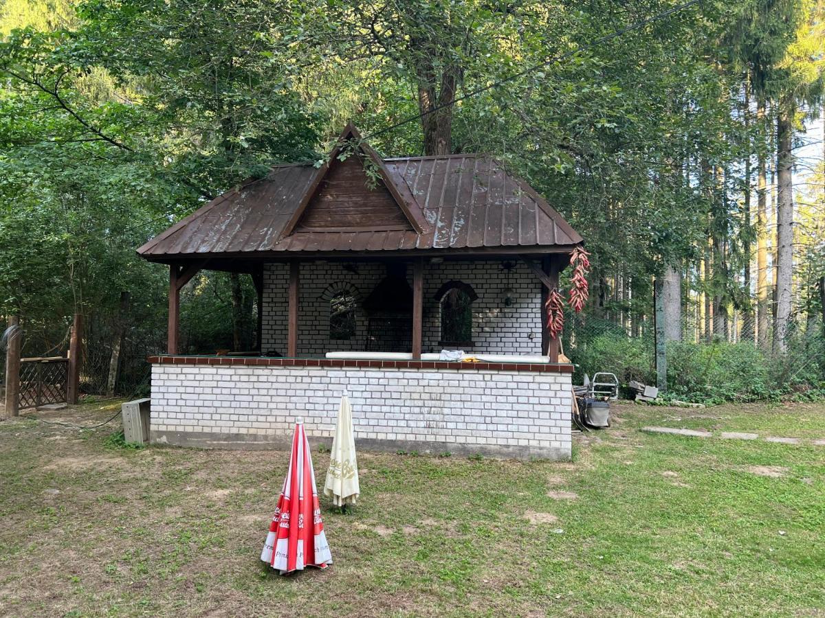Villa Berolina マリアーンスケー・ラーズニェ エクステリア 写真